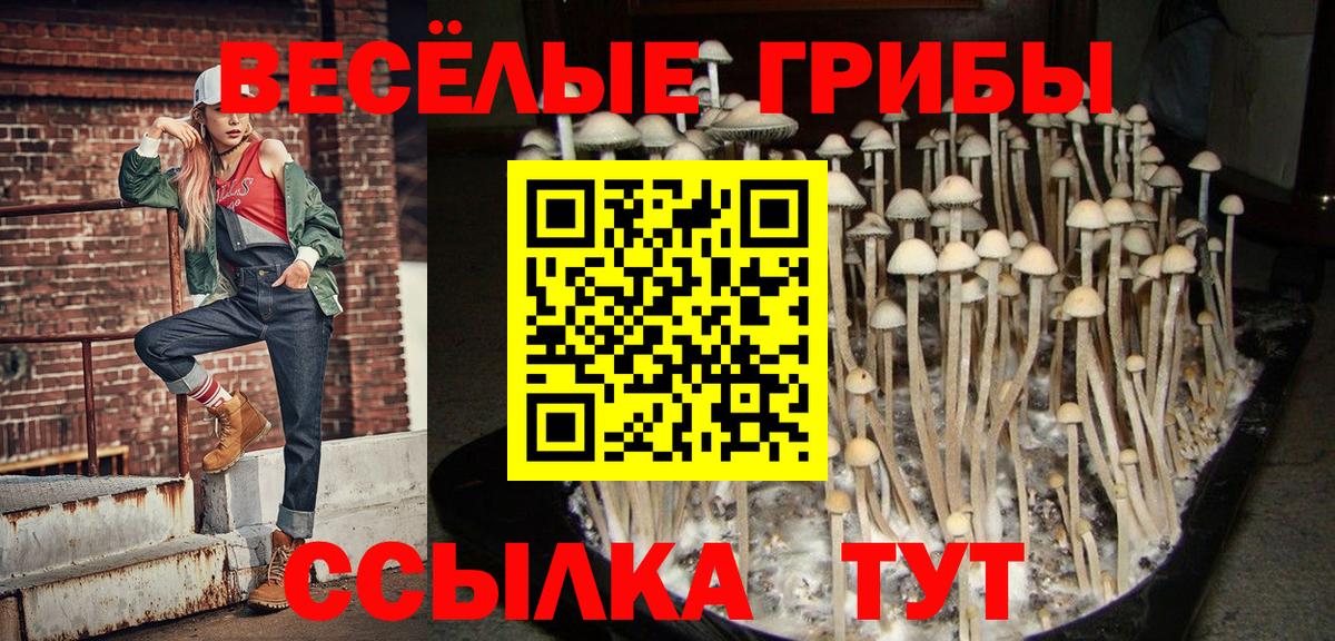 Псилоцибиновые грибы прущие грибы  Галлюциногенные грибы Psilocybe  Реж  Вход с VPN 